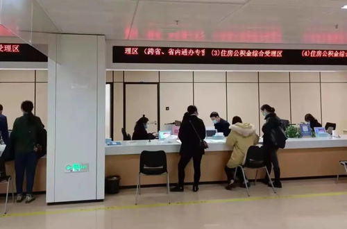 政務(wù)服務(wù)再升級 異地代收代辦與法律事務(wù)代理全面開通