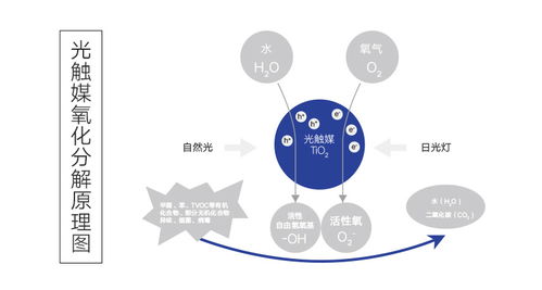 專(zhuān)業(yè)空氣凈化，科萊環(huán)保為您的健康保駕護(hù)航——上門(mén)除甲醛與異味工程技術(shù)服務(wù)詳解